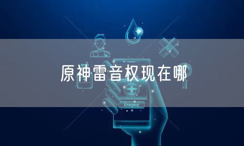 原神雷音权现在哪