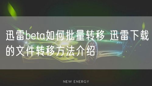 迅雷beta如何批量转移 迅雷下载的文件转移方法介绍