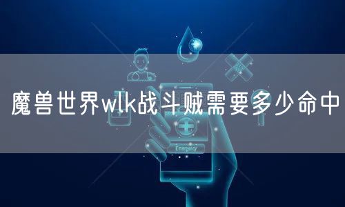 魔兽世界wlk战斗贼需要多少命中
