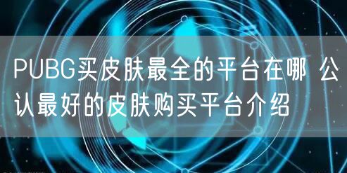 PUBG买皮肤最全的平台在哪 公认最好的皮肤购买平台介绍