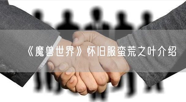 《魔兽世界》怀旧服蛮荒之叶介绍