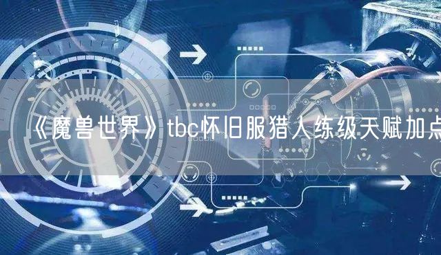 《魔兽世界》tbc怀旧服猎人练级天赋加点
