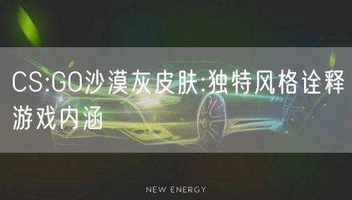 CS:GO沙漠灰皮肤:独特风格诠释游戏内涵