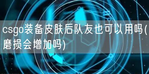 csgo装备皮肤后队友也可以用吗(磨损会增加吗)