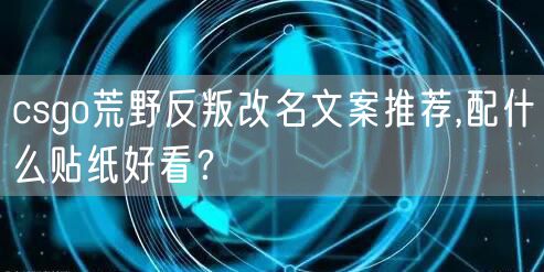 csgo荒野反叛改名文案推荐,配什么贴纸好看？