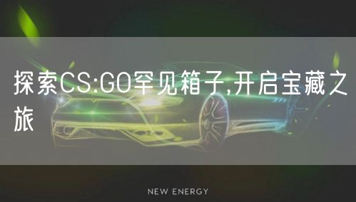 探索CS:GO罕见箱子,开启宝藏之旅