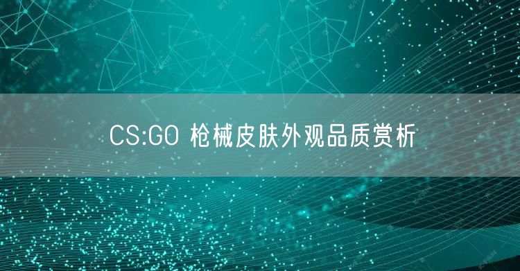 CS:GO 枪械皮肤外观品质赏析