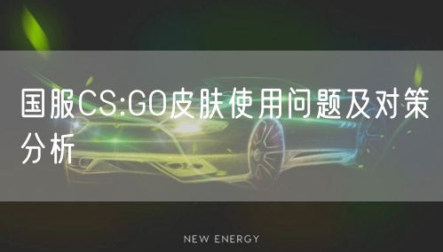 国服CS:GO皮肤使用问题及对策分析