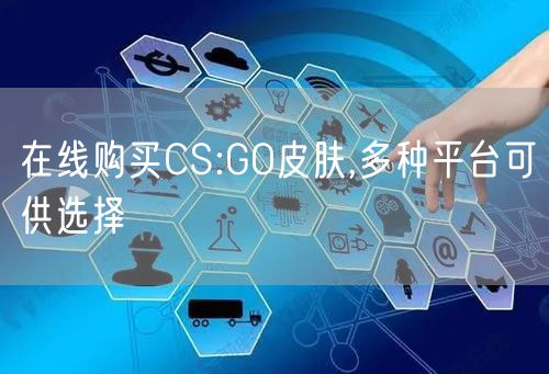 在线购买CS:GO皮肤,多种平台可供选择