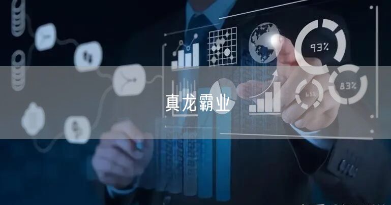 真龙霸业