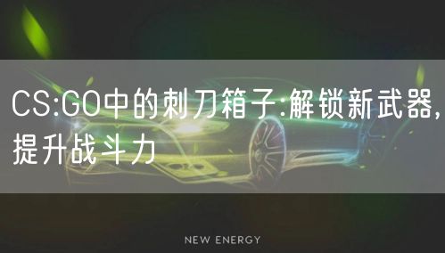 CS:GO中的刺刀箱子:解锁新武器,提升战斗力