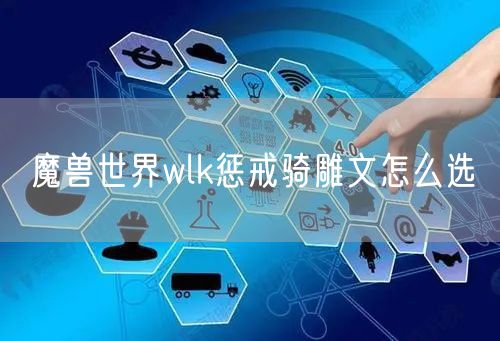 魔兽世界wlk惩戒骑雕文怎么选