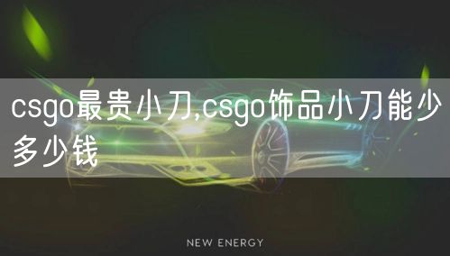 csgo最贵小刀,csgo饰品小刀能少多少钱