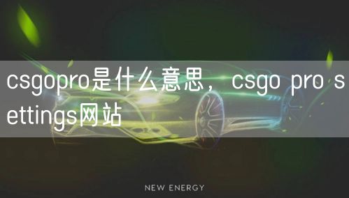 csgopro是什么意思，csgo pro settings网站