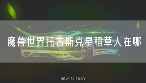 魔兽世界托古斯克星稻草人在哪