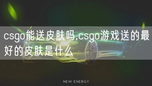 csgo能送皮肤吗,csgo游戏送的最好的皮肤是什么