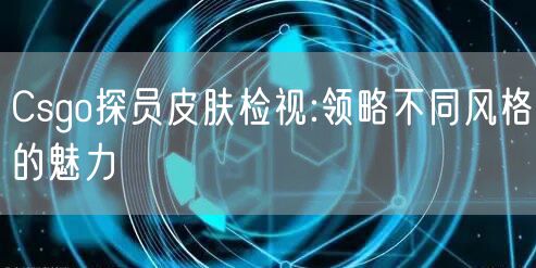 Csgo探员皮肤检视:领略不同风格的魅力