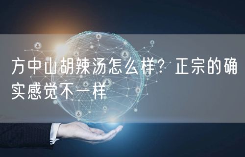 方中山胡辣汤怎么样？正宗的确实感觉不一样