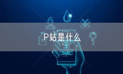 P站是什么