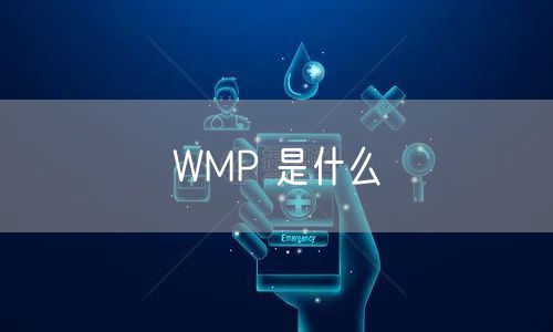 WMP 是什么