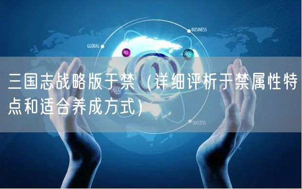 三国志战略版于禁（详细评析于禁属性特点和适合养成方式）