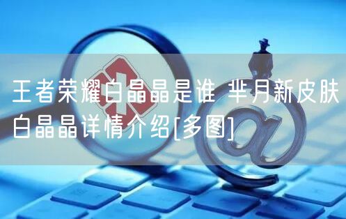 王者荣耀白晶晶是谁 芈月新皮肤白晶晶详情介绍[多图]