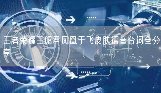 王者荣耀王昭君凤凰于飞皮肤语音台词全分享