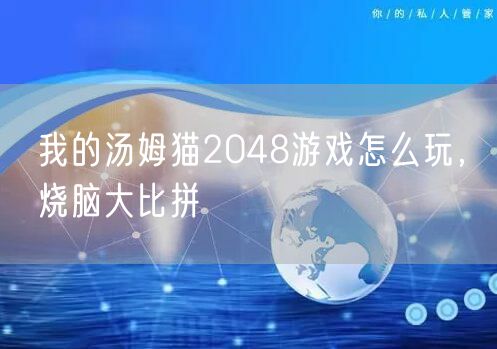 我的汤姆猫2048游戏怎么玩，烧脑大比拼