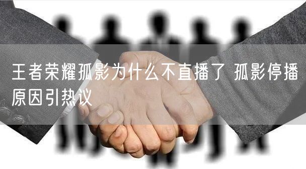 王者荣耀孤影为什么不直播了 孤影停播原因引热议
