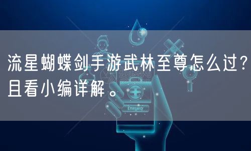 流星蝴蝶剑手游武林至尊怎么过？且看小编详解。