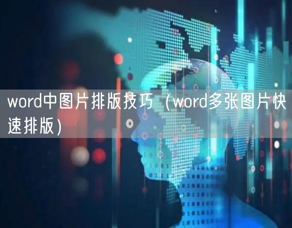 word中图片排版技巧（word多张图片快速排版）