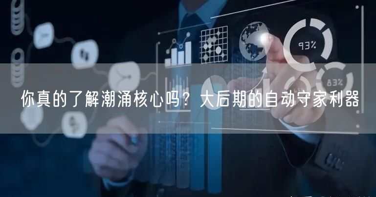 你真的了解潮涌核心吗？大后期的自动守家利器