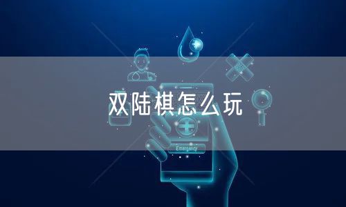 双陆棋怎么玩
