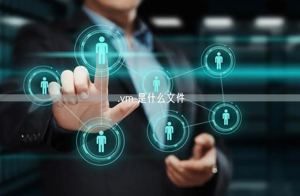 .vm 是什么文件