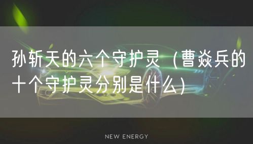 孙斩天的六个守护灵(曹焱兵的十个守护灵分别是什么)