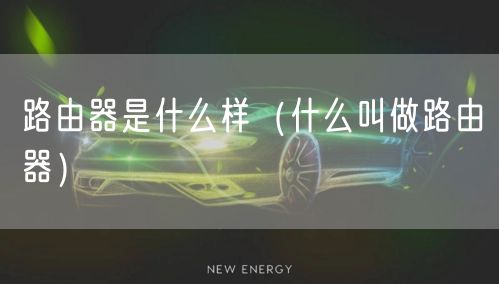 路由器是什么样（什么叫做路由器）