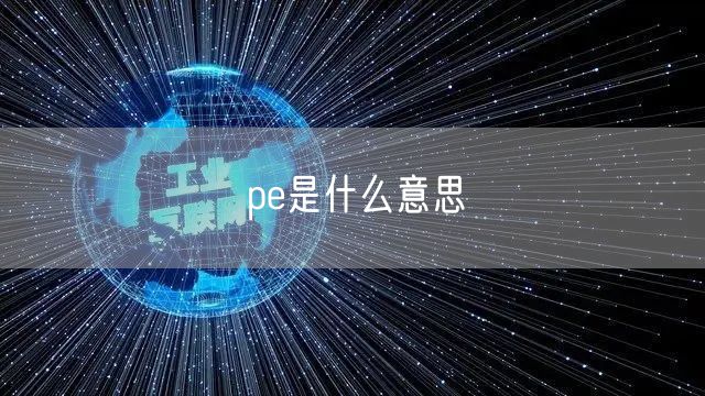 pe是什么意思