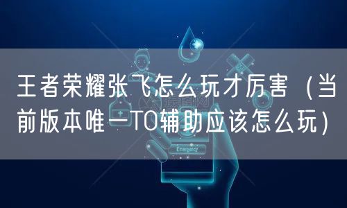 王者荣耀张飞怎么玩才厉害（当前版本唯一T0辅助应该怎么玩）