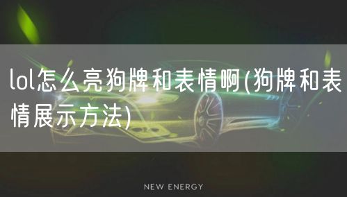 lol怎么亮狗牌和表情啊(狗牌和表情展示方法)