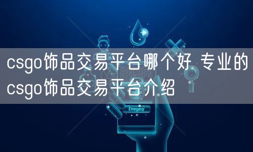 csgo饰品交易平台哪个好 专业的csgo饰品交易平台介绍