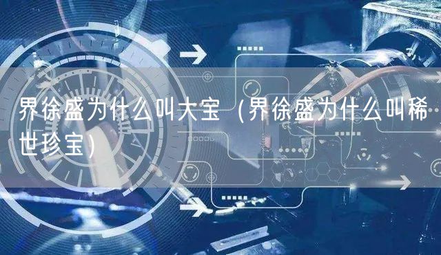 界徐盛为什么叫大宝（界徐盛为什么叫稀世珍宝）