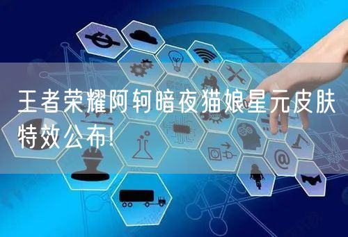 王者荣耀阿轲暗夜猫娘星元皮肤特效公布!