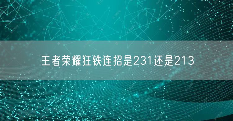 王者荣耀狂铁连招是231还是213