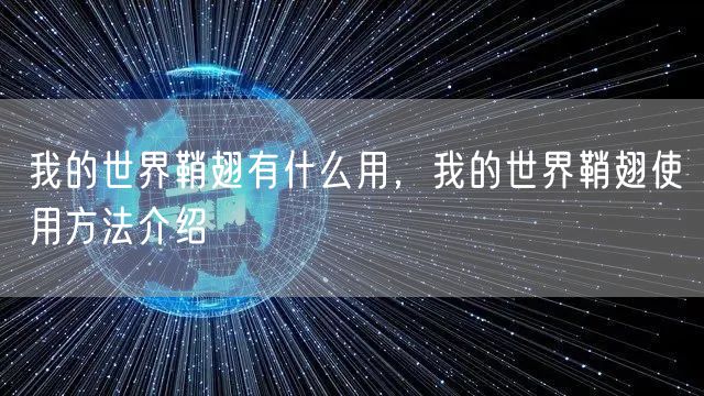 我的世界鞘翅有什么用,我的世界鞘翅使用方法介绍