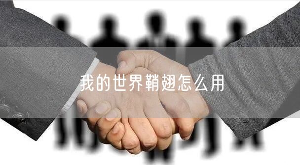 我的世界鞘翅怎么用