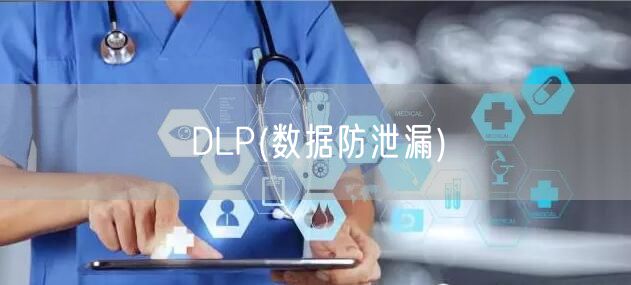 DLP(数据防泄漏)