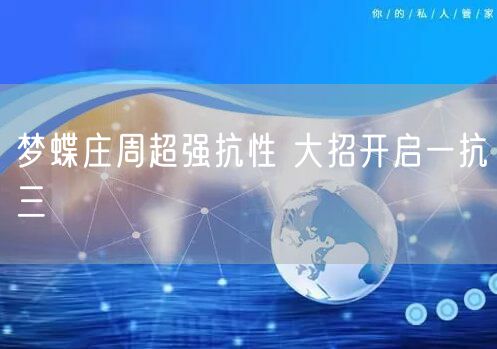 梦蝶庄周超强抗性 大招开启一抗三