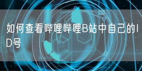 如何查看哔哩哔哩B站中自己的ID号