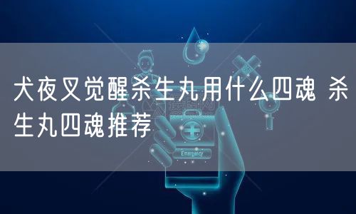 犬夜叉觉醒杀生丸用什么四魂 杀生丸四魂推荐