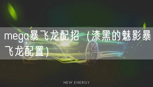 mega暴飞龙配招（漆黑的魅影暴飞龙配置）